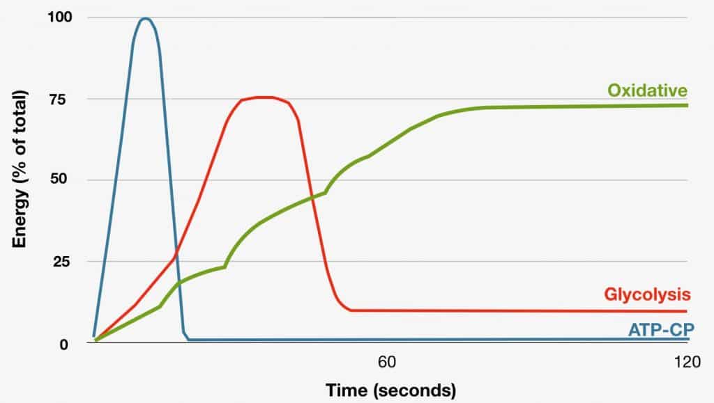 Shows the difference in output and duration of the three energy systems